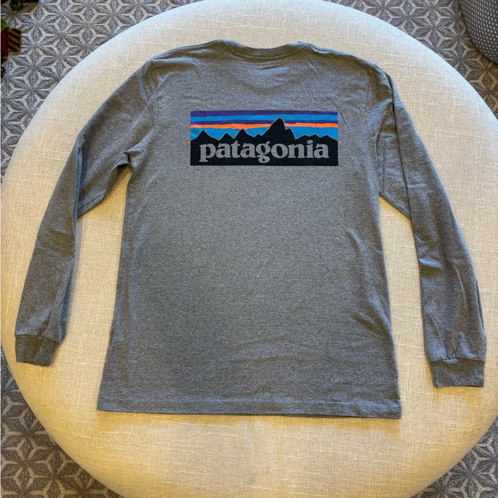 Patagonia Heather Gray Crewneck Tee with Black Logo